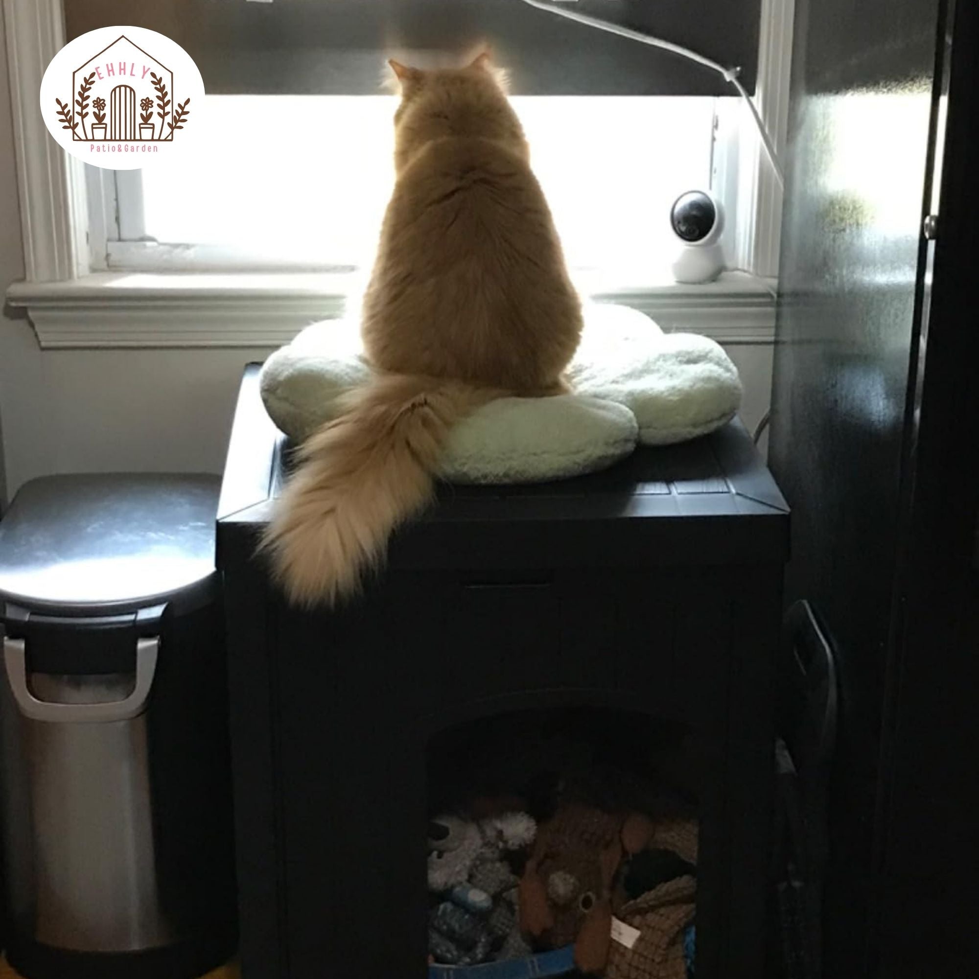 EHHLY Outdoor Cat House & Cat Litter Box Enclosure, Black